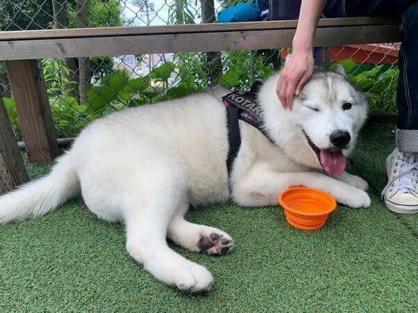 嬉しそうなこたろうくん