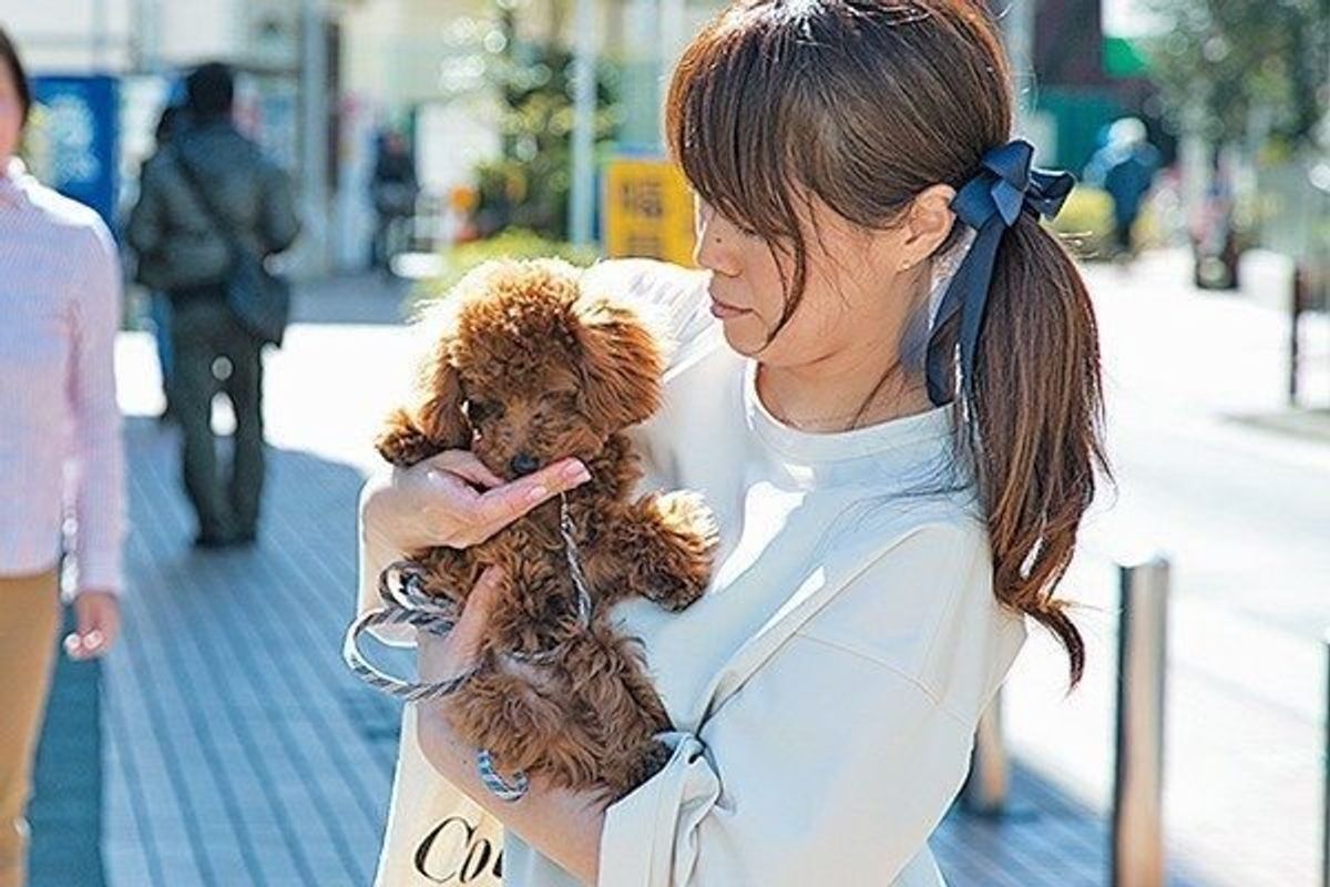 散歩も人も苦手で困る 愛犬の 嫌い を克服する効果的なしつけ3選 いぬのきもちweb Magazine 散歩も人も苦手で困る 愛犬の 嫌い を克服する効果的なしつけ3選 いぬのきもちweb Magazine