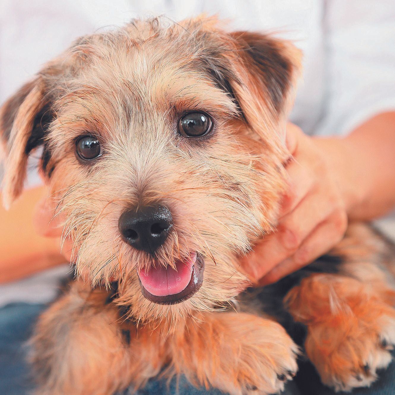 撮影／尾﨑たまき