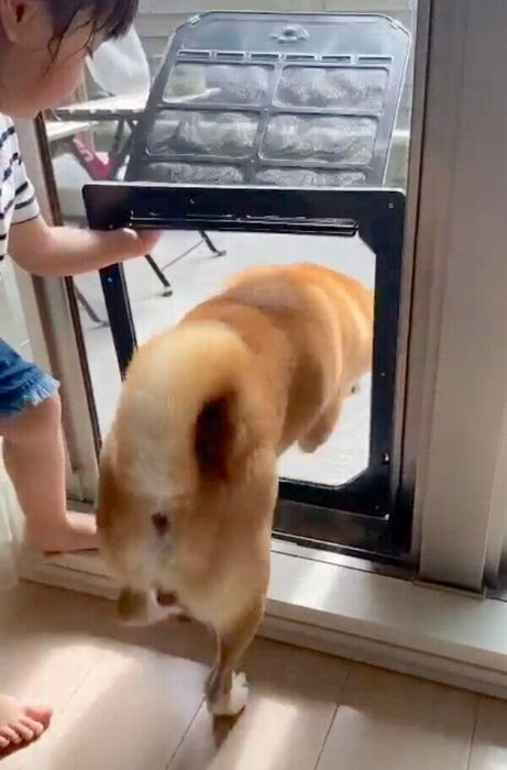 専用出入り口から外に出るこたろうくん