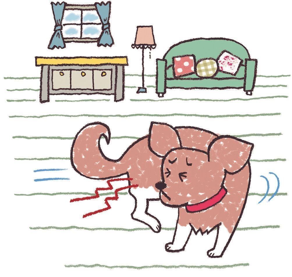 イラスト／オーツノコ