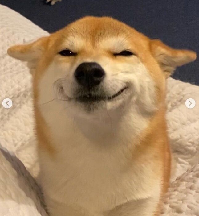 笑顔を見せるふじこちゃん