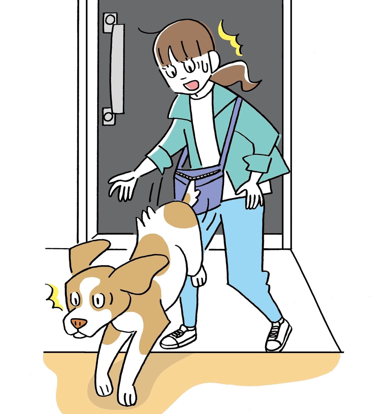 犬が散歩中にガラスの破片を踏んだ 金具にしっぽが引っかかった 犬の切り傷 にどう対応する いぬのきもちweb Magazine 犬が散歩中にガラスの破片を踏んだ 金具にしっぽが引っかかった 犬の切り傷 にどう対応する いぬのきもちweb Magazine