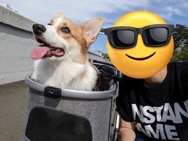 楽しそうなモルトちゃん