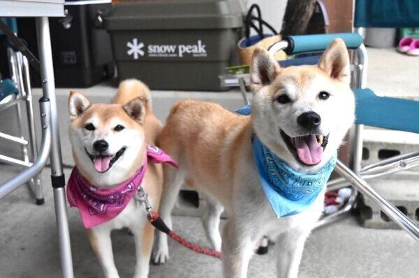 笑顔が可愛い蘭丸くんと茶々ちゃん