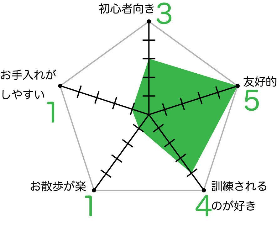 ラフ・コリーの魅力