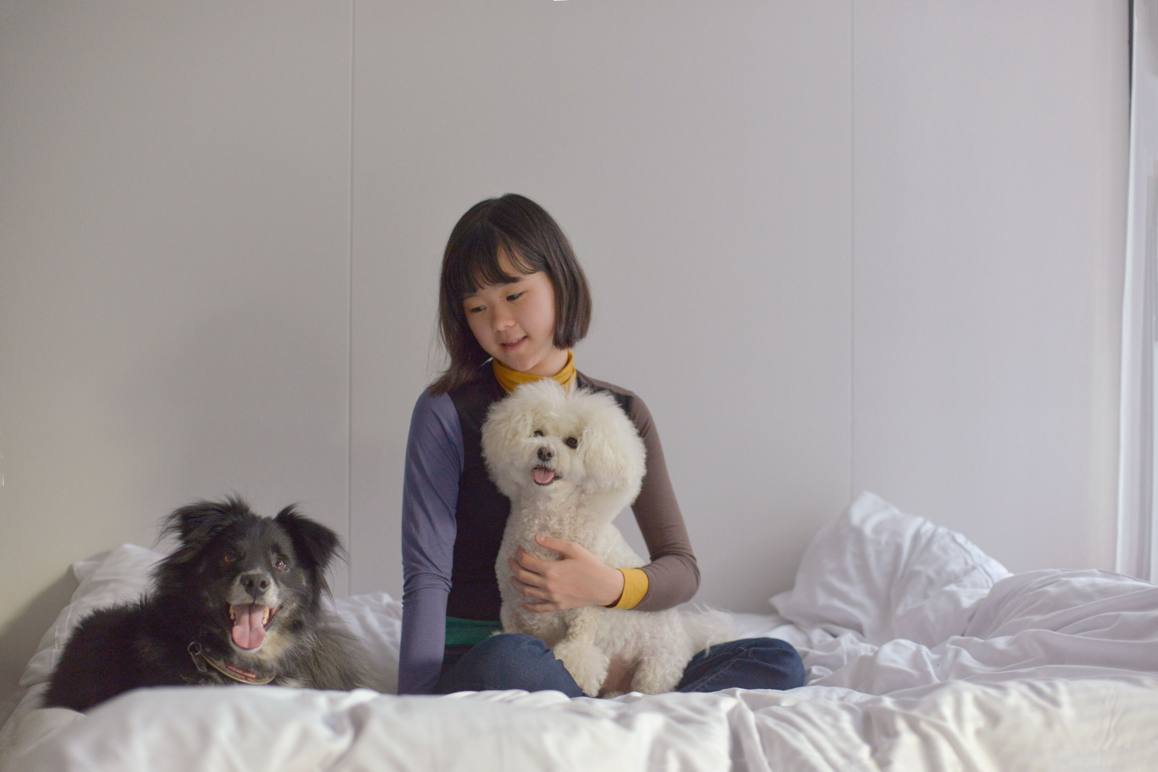 ベッドの上も愛犬と一緒にくつろげます