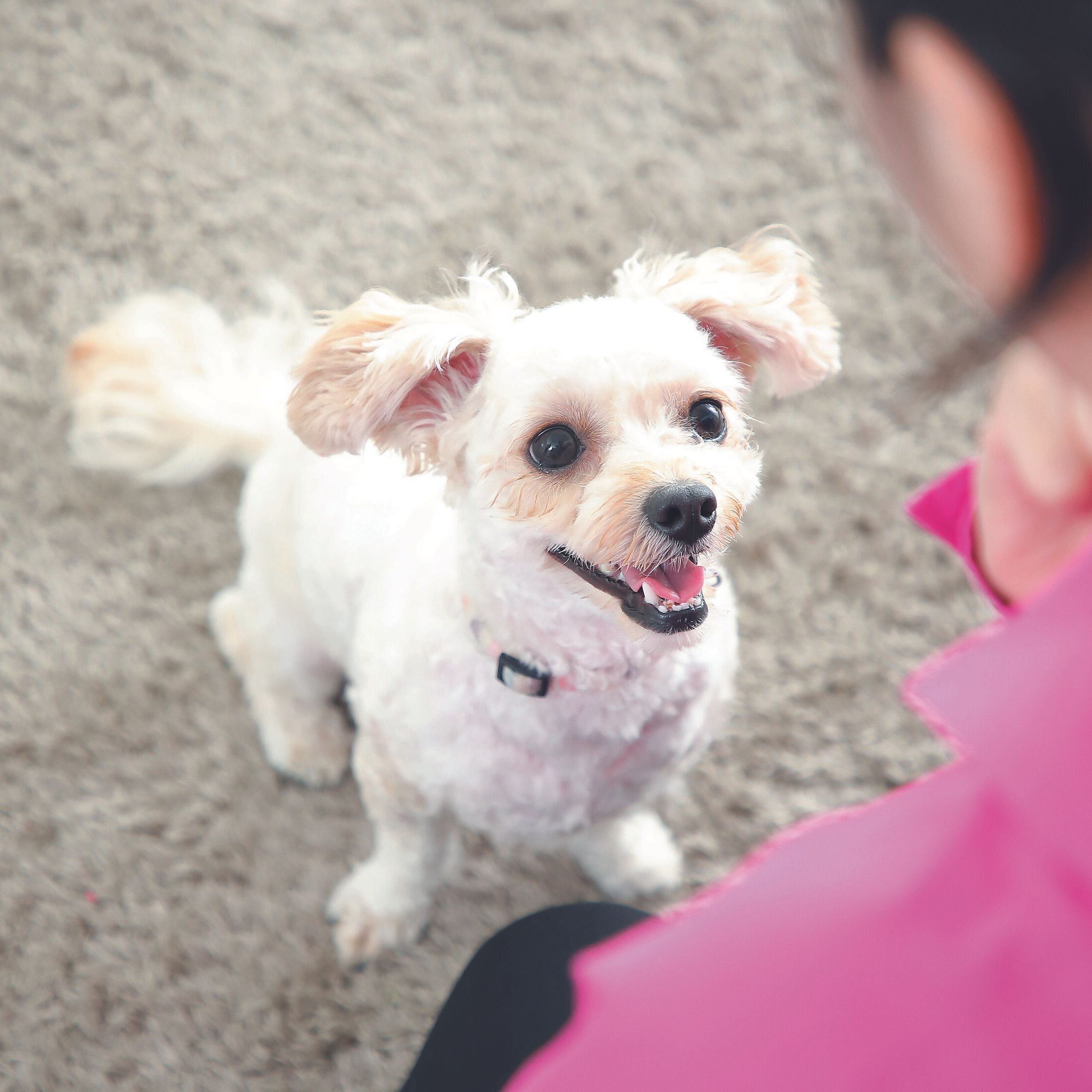 撮影／尾﨑たまき