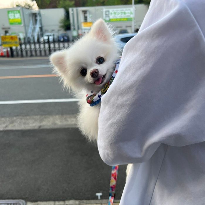 パパに抱っこをされる太郎くん