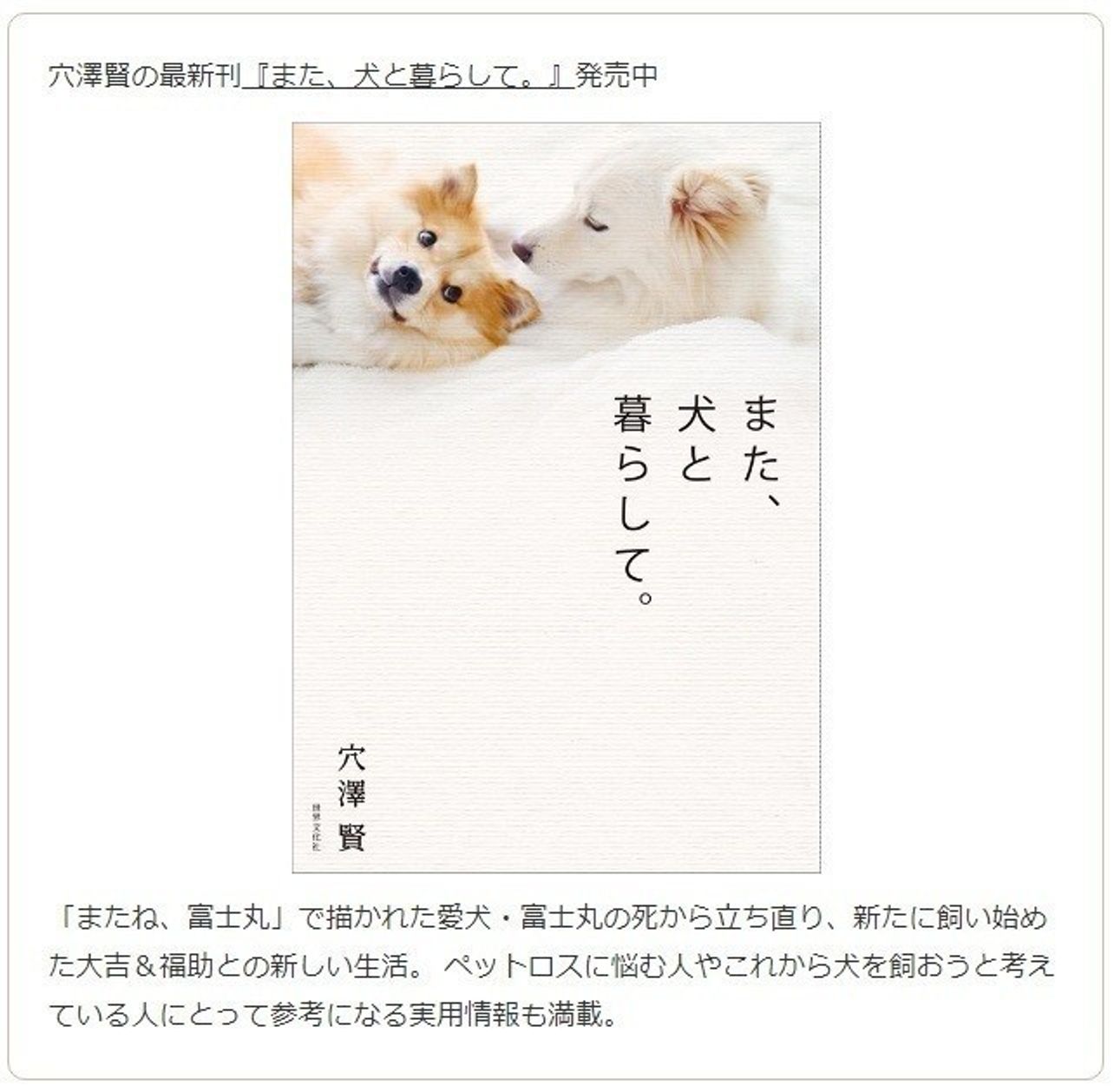 日本動物福祉協会って どんな団体 穴澤賢の犬のはなし いぬのきもちweb Magazine 日本動物福祉協会って どんな団体 穴澤賢の犬のはなし いぬのきもちweb Magazine