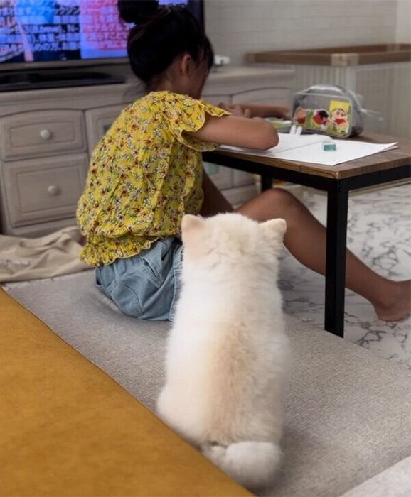 見守るぽんちゃん