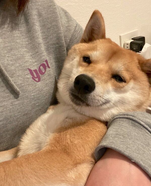 今にも眠ってしまいそうなまめ助くん