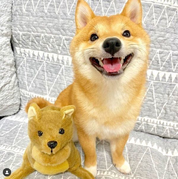 笑顔のうにくん