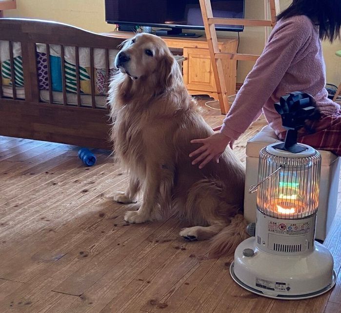 娘さんになでてもらうすまちゃん