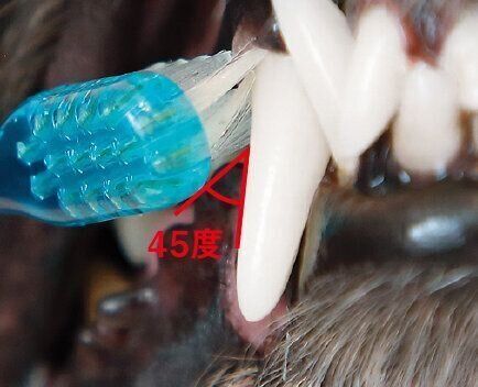 撮影／尾﨑たまき