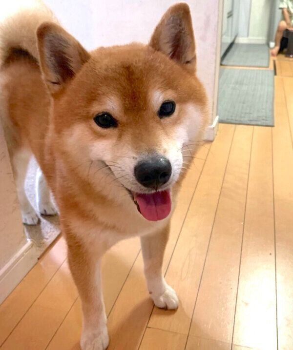 笑顔のこたろうくん