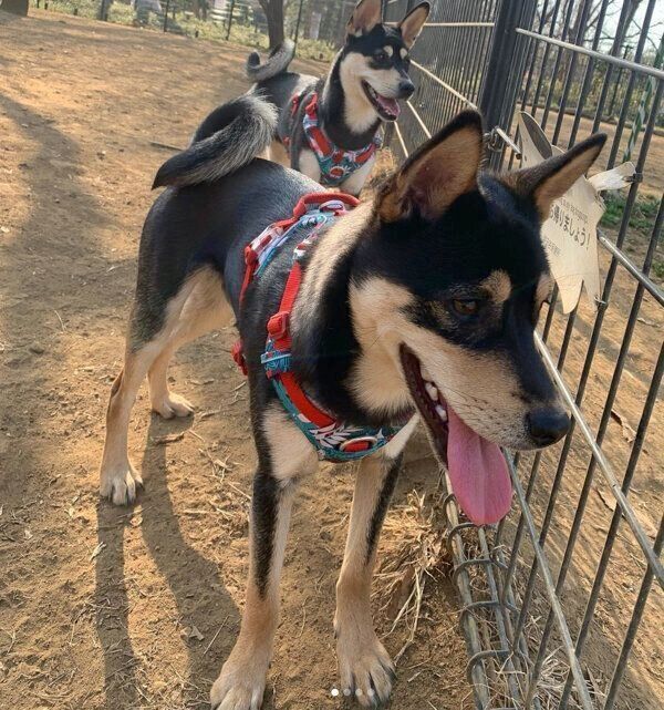 ななちゃんといぶきくん