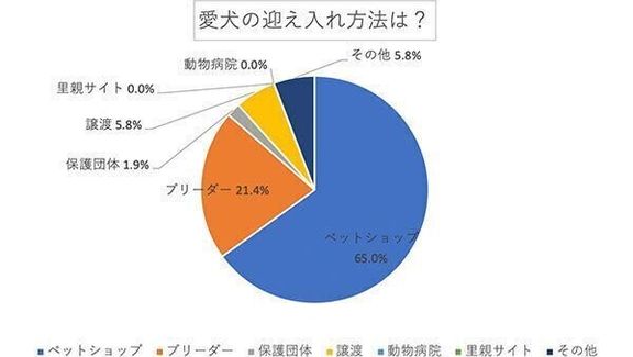 愛犬の迎え入れ方法は？