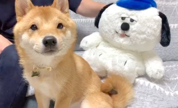 かまってほしいパパさんと、ガン無視するうにくん