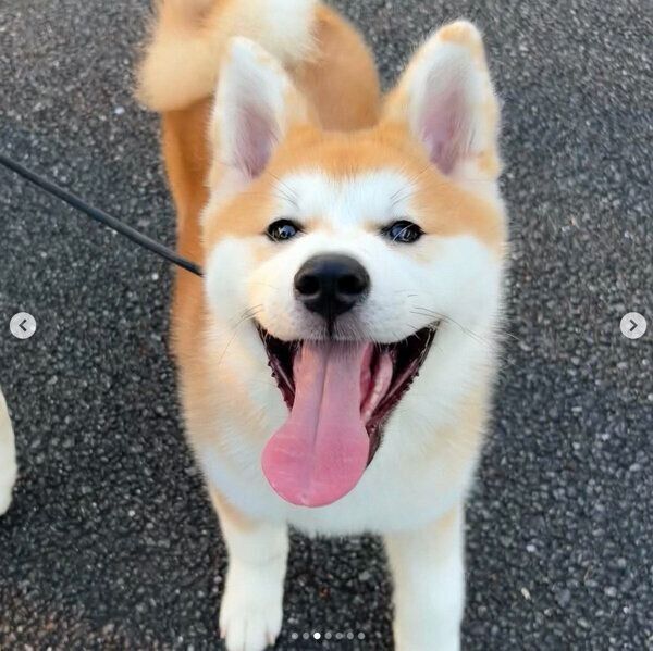 笑顔が可愛い薫くん