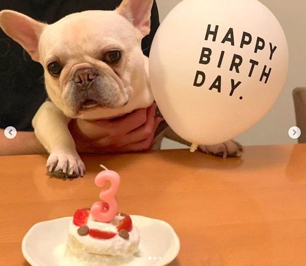 お誕生日をお祝いしてもらうマシューくん