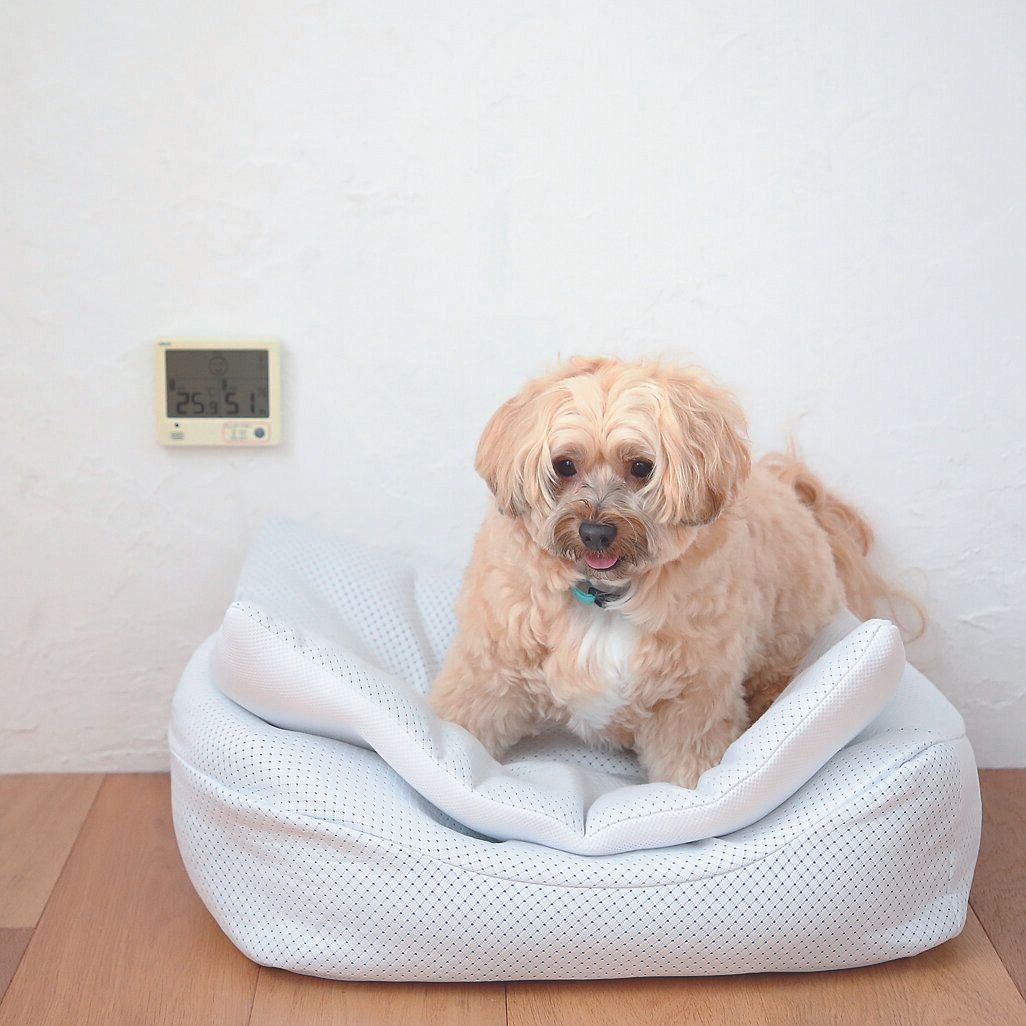 室温は26℃以下、湿度は50～60％が理想！