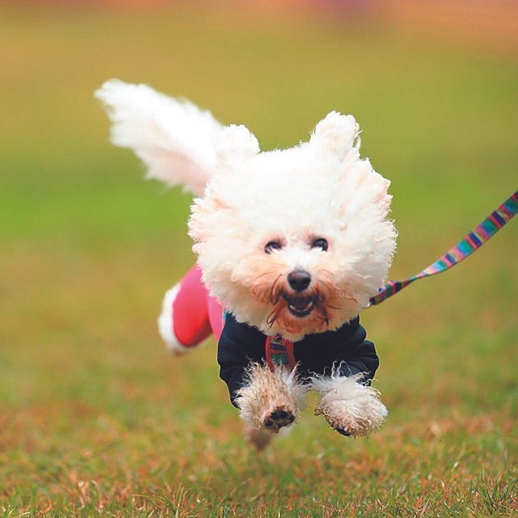 写真提供／Uさん