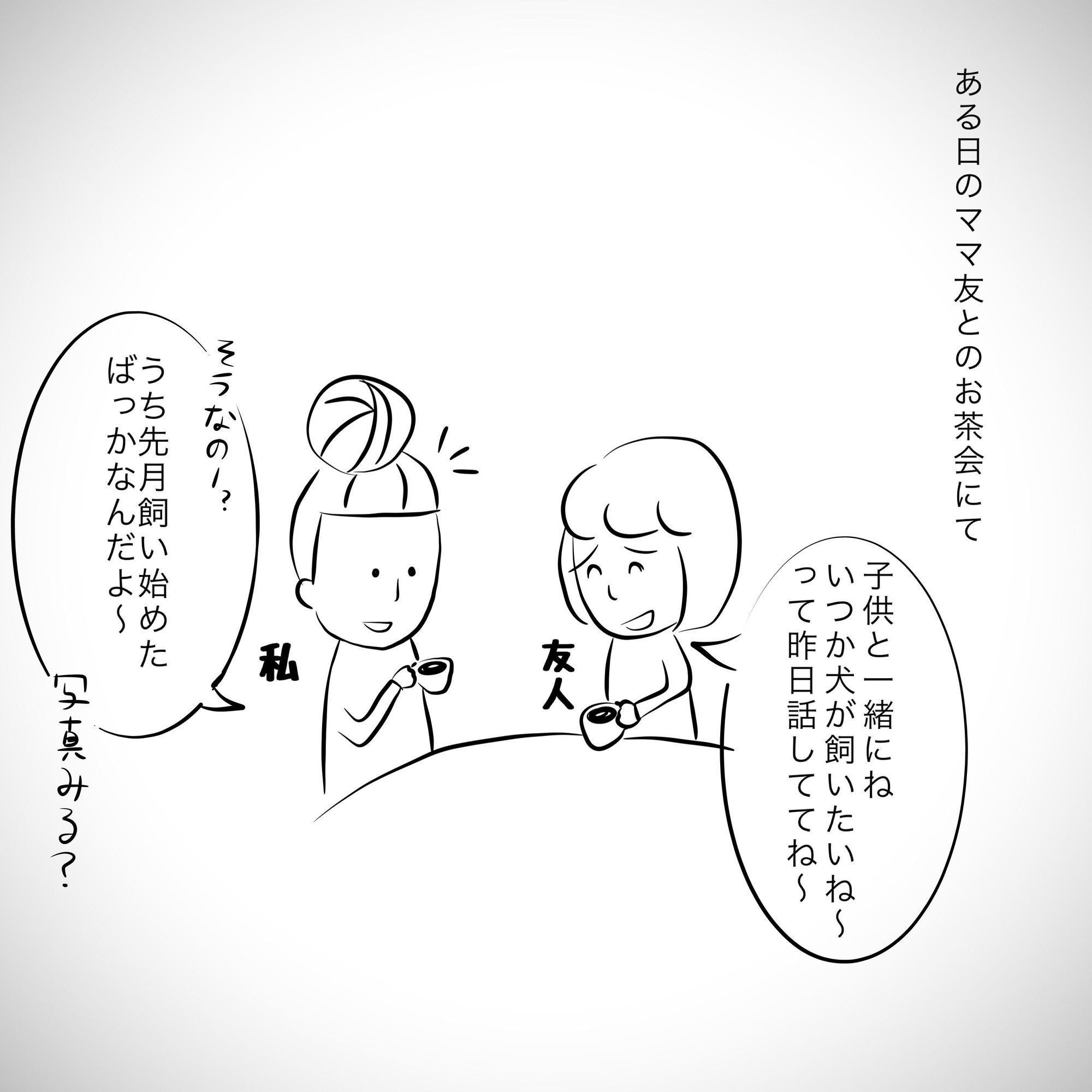 新連載 おばあちゃん犬がやってきた 第１回 飼い始めたのは子犬じゃない いぬのきもちweb Magazine