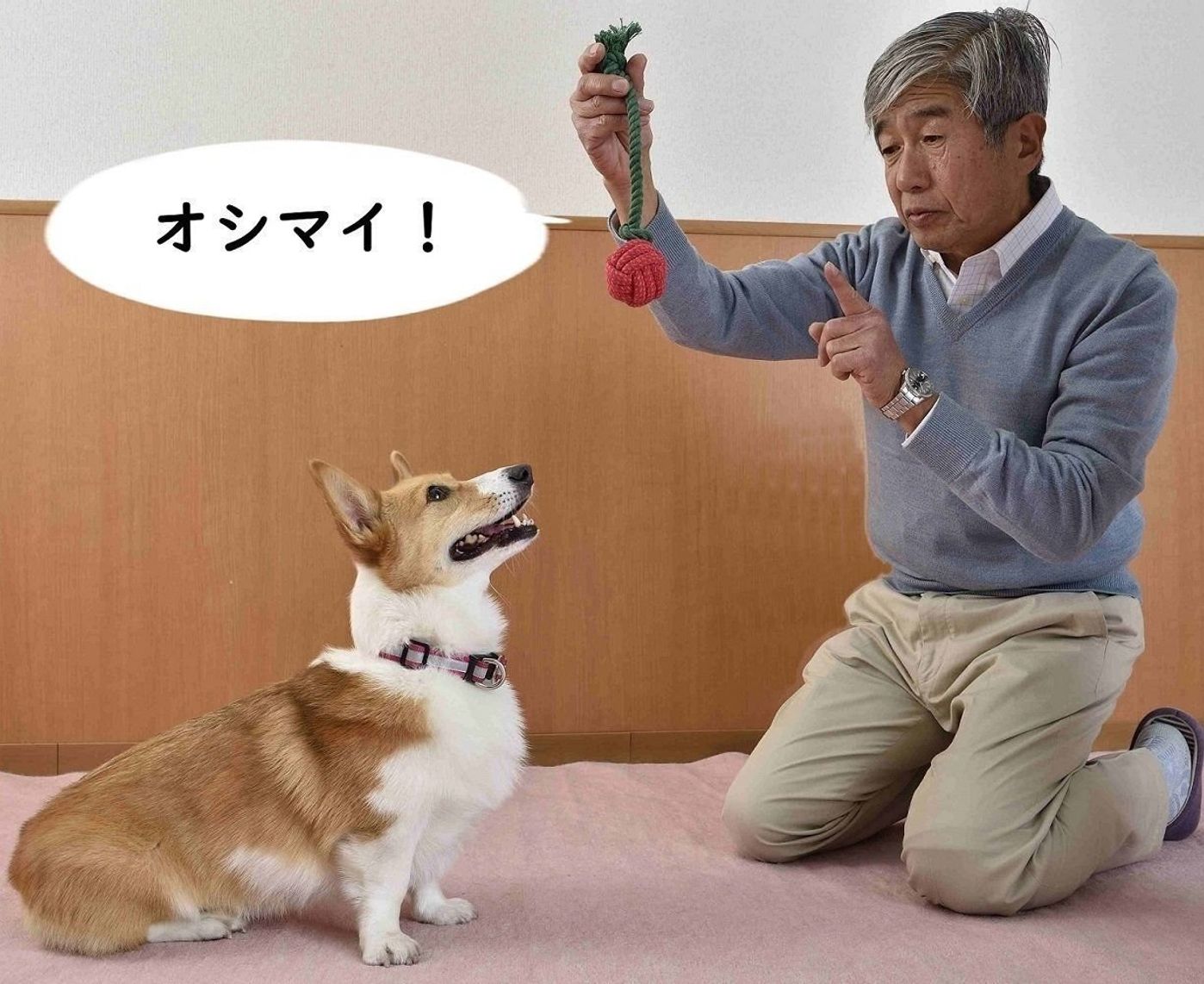 ロープトイで遊ぶとイイコトづくめ 楽しいだけじゃない意外なメリット3つ いぬのきもちweb Magazine ロープトイで遊ぶとイイコトづくめ 楽しいだけじゃない意外なメリット3つ いぬのきもちweb Magazine