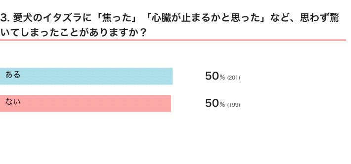 いぬのきもちWEB MAGAZINE　「犬飼いあるある」に関するアンケートvol.03