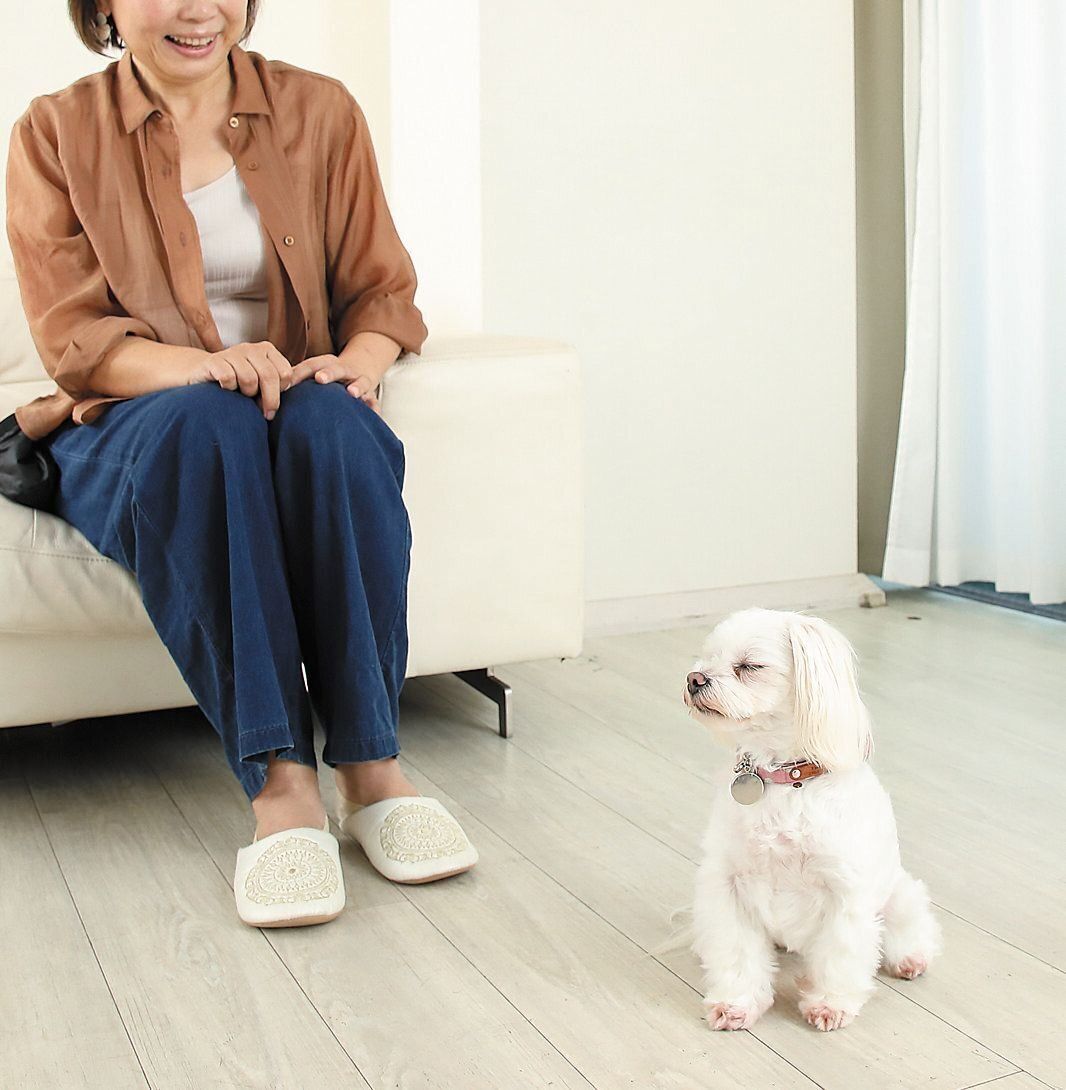 撮影／尾﨑たまき