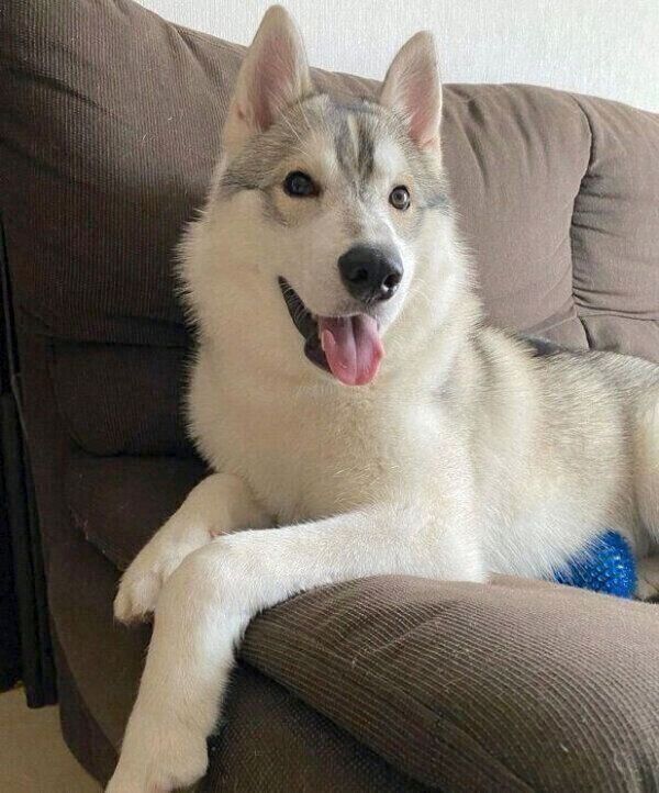 生後9カ月のステラくん