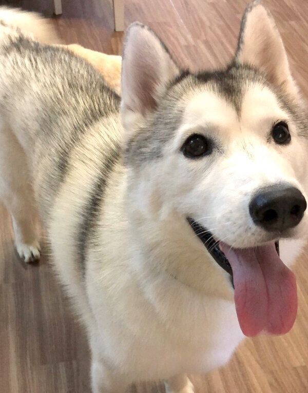 笑顔のぷくちゃん