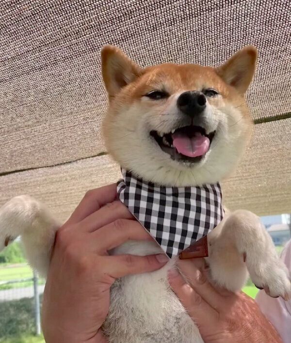 笑顔が可愛いレノくん