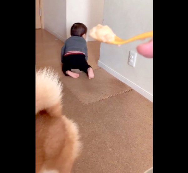 逃亡する弟くん