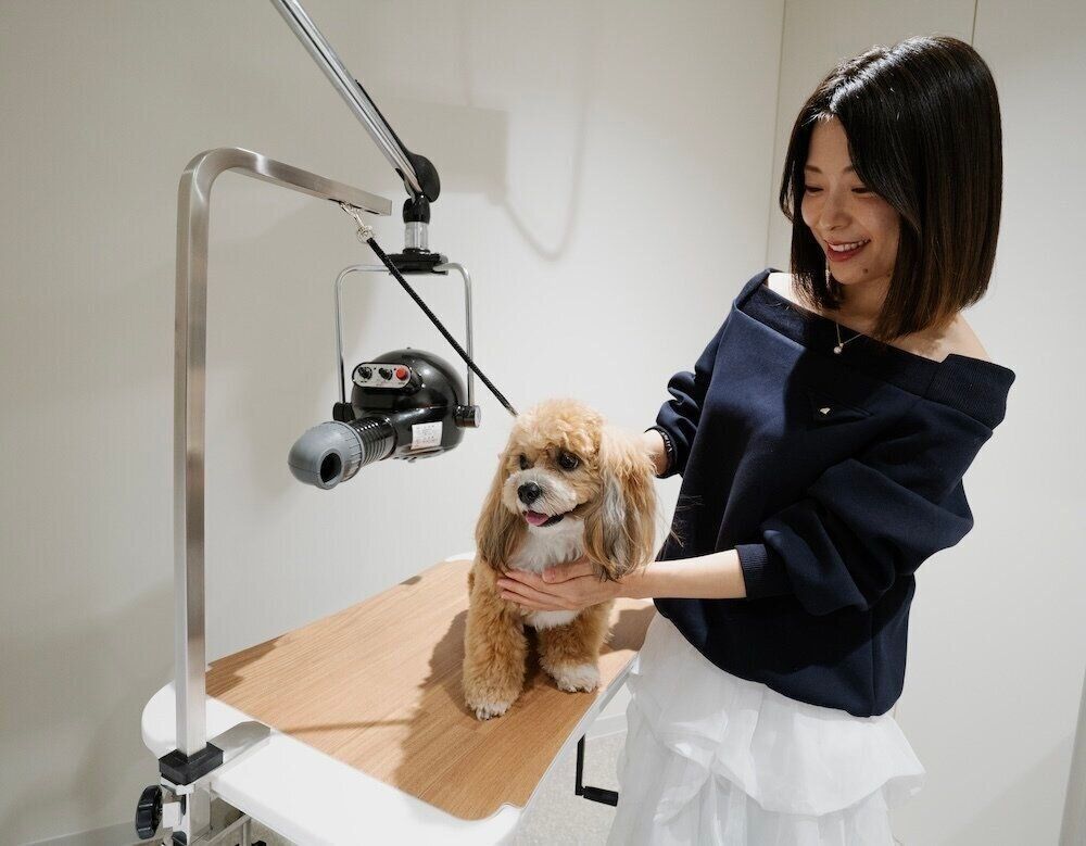 フジタ　大和リビング　リーラ横浜川和町　月次健診　犬猫合わせて4頭　マンション　賃貸マンション　いぬのきもち　いぬ　トリミングングルーム