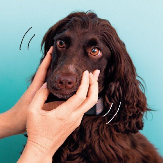 口まわりをやさしく触る