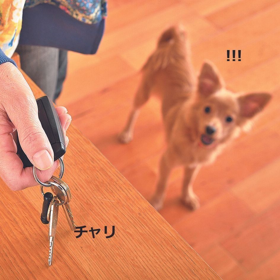 撮影／佐藤正之