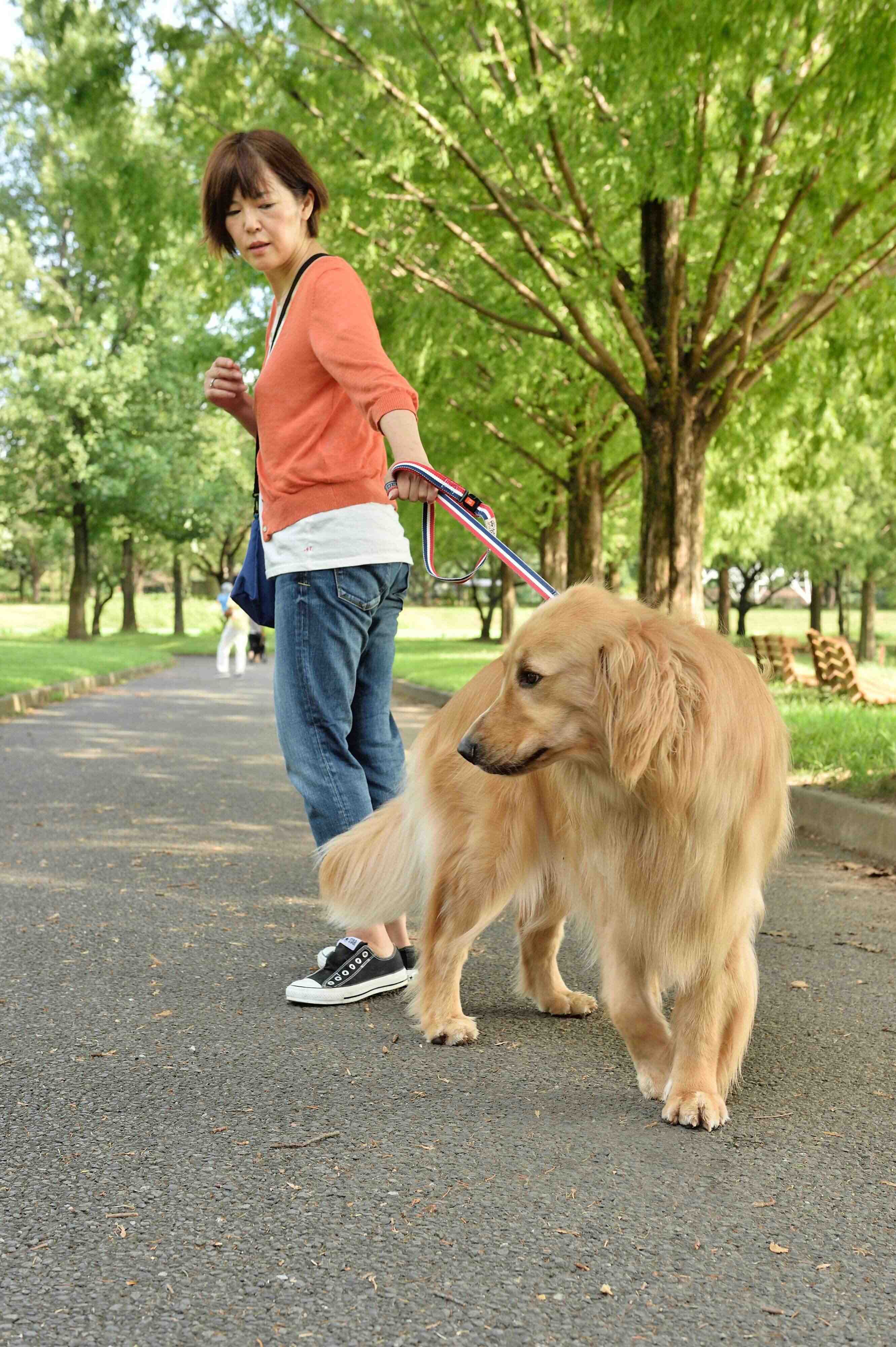 撮影／佐藤正之