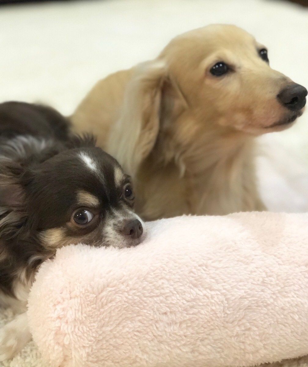 それでもふたりは仲良し