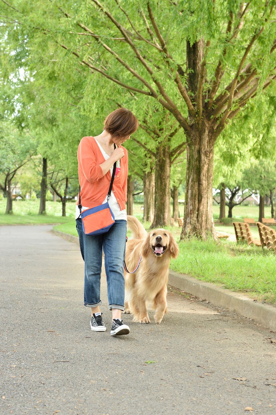 愛犬に引っ張られて散歩してる飼い主さん必見 魔法のリード使い いぬのきもちweb Magazine 愛犬に引っ張られて散歩してる飼い主さん必見 魔法のリード使い いぬのきもちweb Magazine