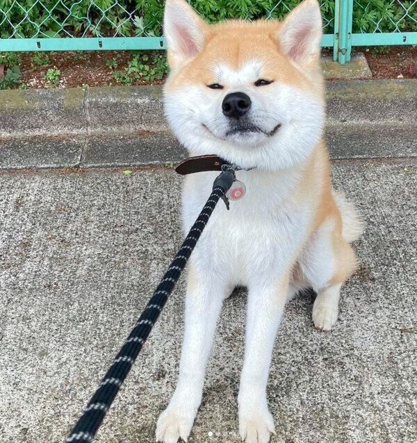 「帰らない」と粘る大吉くん