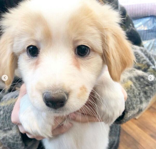 抱っこされるたんたんちゃん