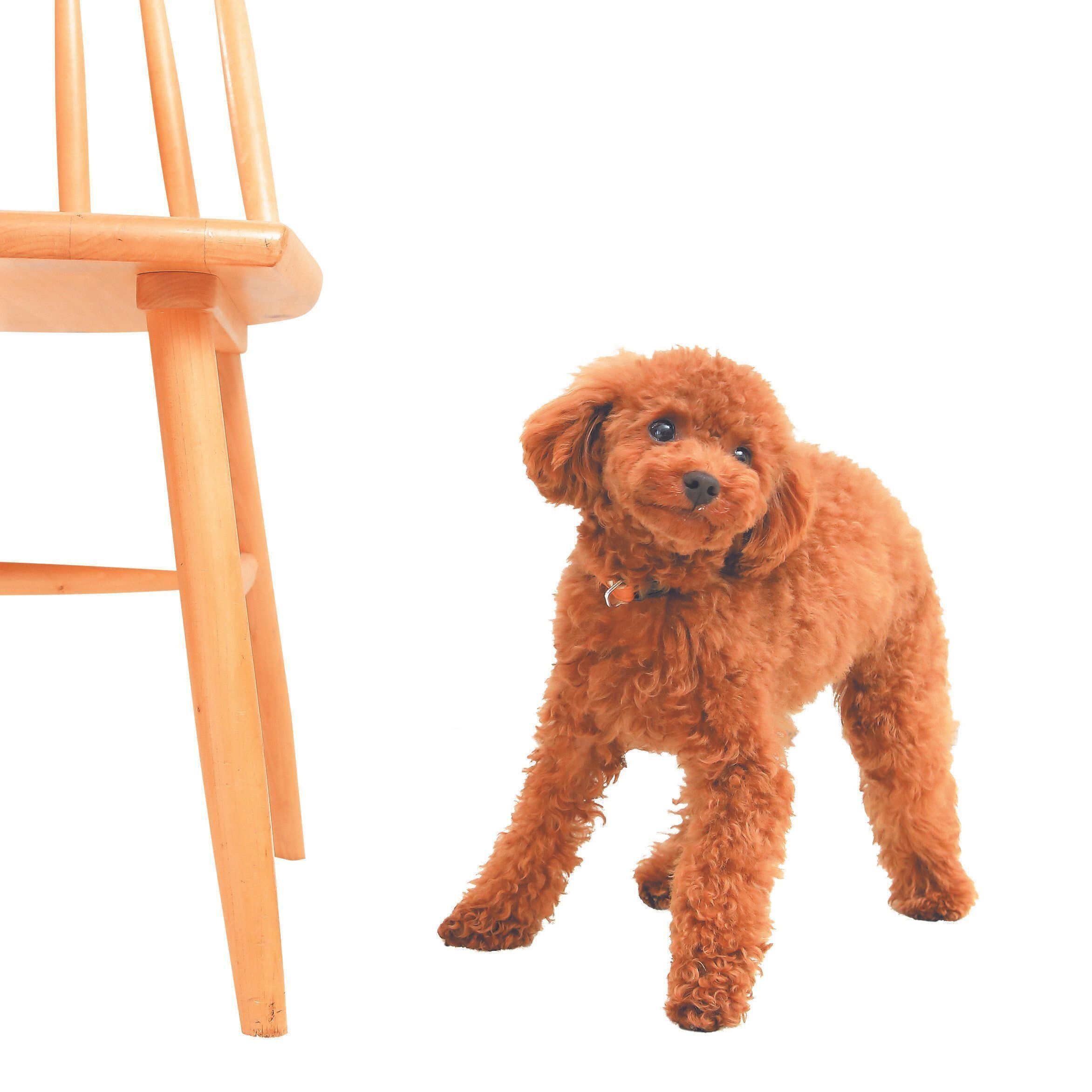 撮影／尾﨑たまき