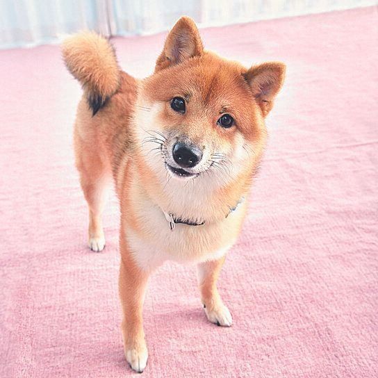 撮影／佐藤正之