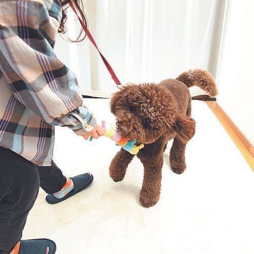 撮影／尾﨑たまき