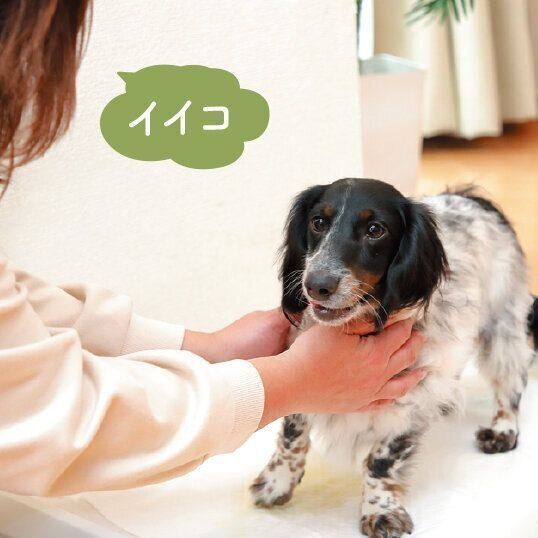 撮影／尾﨑たまき