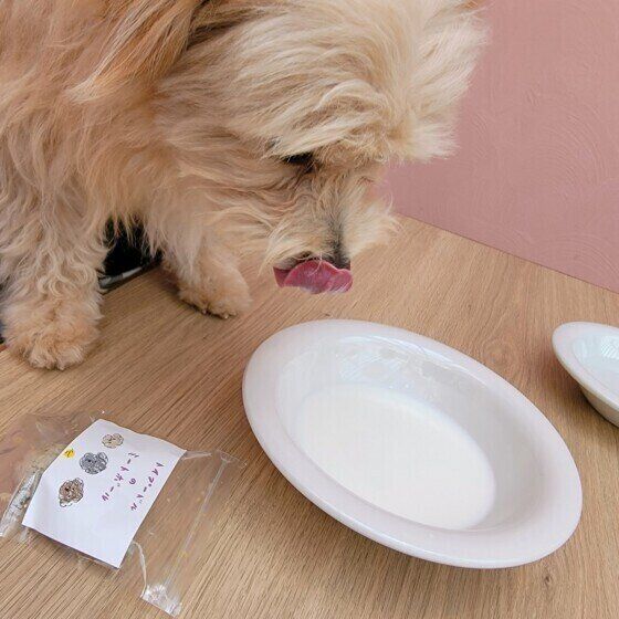 MIXの小太郎くん