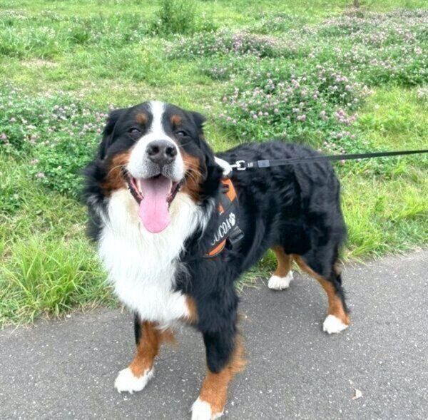 笑顔のココちゃん