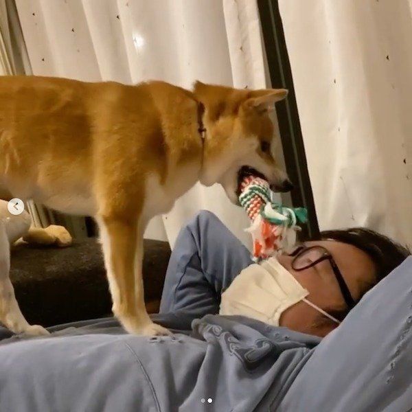 急にドSになるにこちゃん